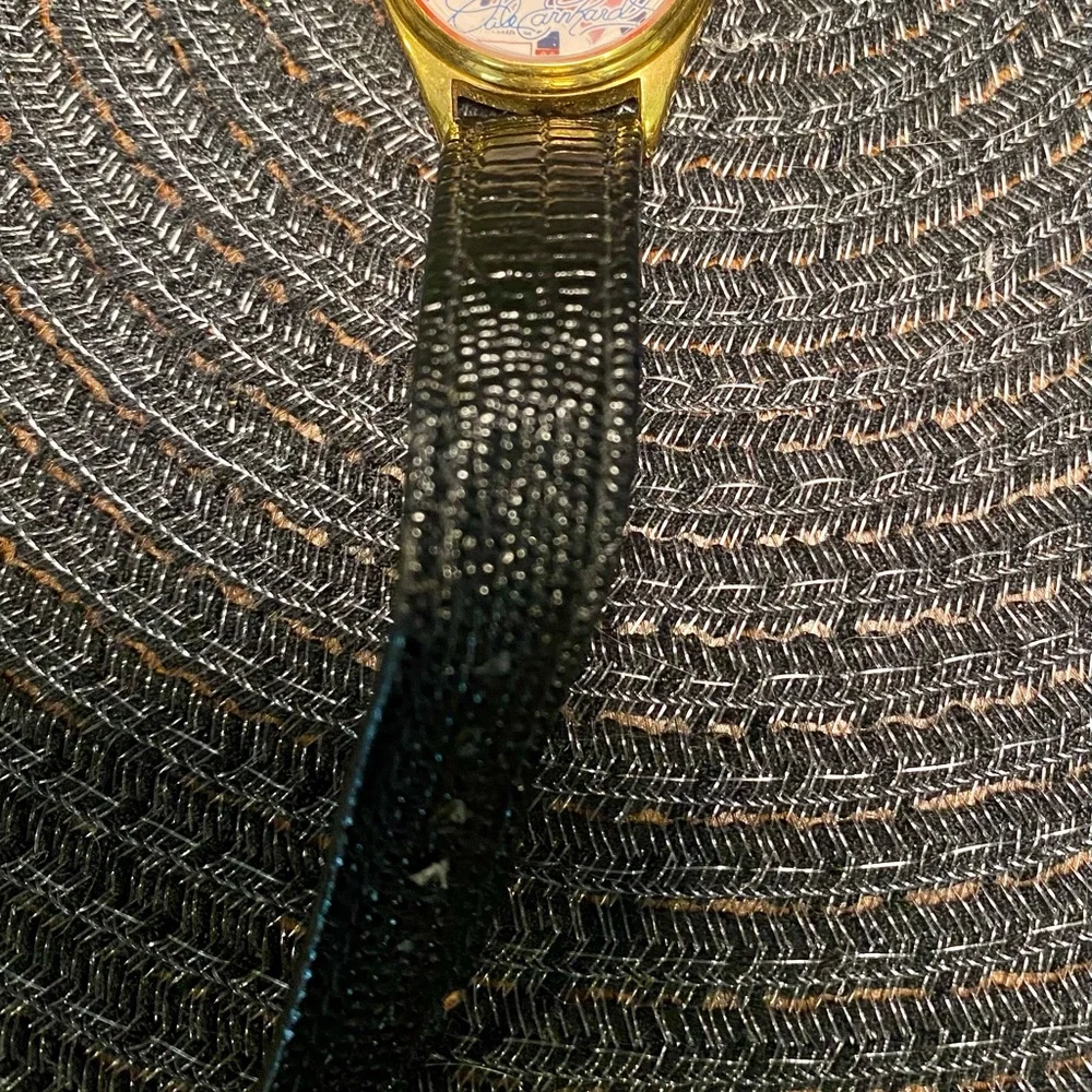 Dale Earhart Winston Cup‎ 1994 Signature Driver Series Watch